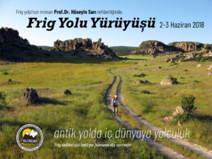 Frig Yolu1