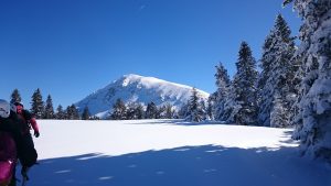 ilgaz 1