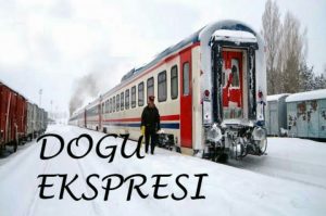 doguekspresi