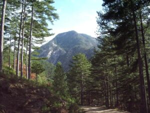 KazDaglariEtkinligi26