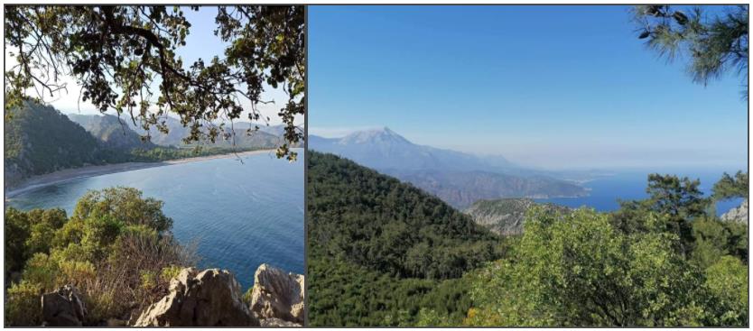 Olimpos Kamp Ve Doğa Yürüyüşü