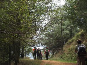 Hoyuktepe06
